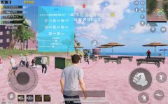 和平精英两指辅助怎么设置（和平精英中，二指操作的优势和劣势是什么？）