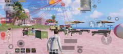 和平精英外挂举报该怎么举报（和平精英外挂举报的具体流程是什么？）